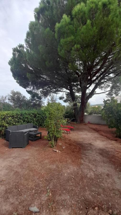 Casa Francesca Villa Saint-Florent  Eksteriør billede